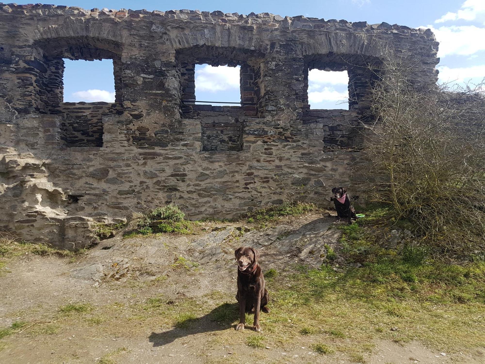 Ferienhaus Leopold Mit Burgblick An Der Mosel Burgen  Ngoại thất bức ảnh