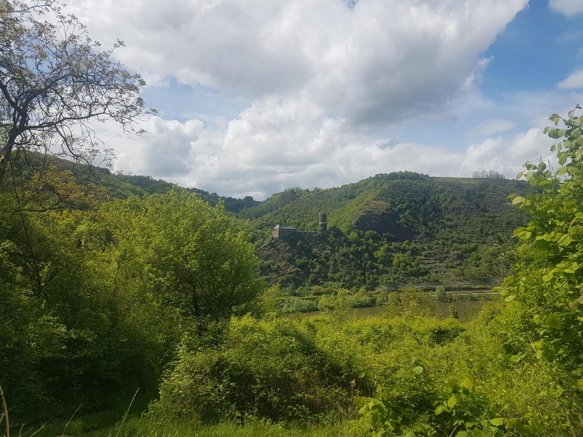 Ferienhaus Leopold Mit Burgblick An Der Mosel Burgen  Ngoại thất bức ảnh